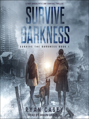 cover image of Survive the Darkness